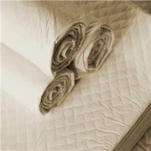 پدهای آموزشی دوستدار محیط زیست