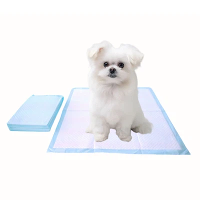 پدهای آموزشی سگ یکبار مصرف مقاوم- را بجوید